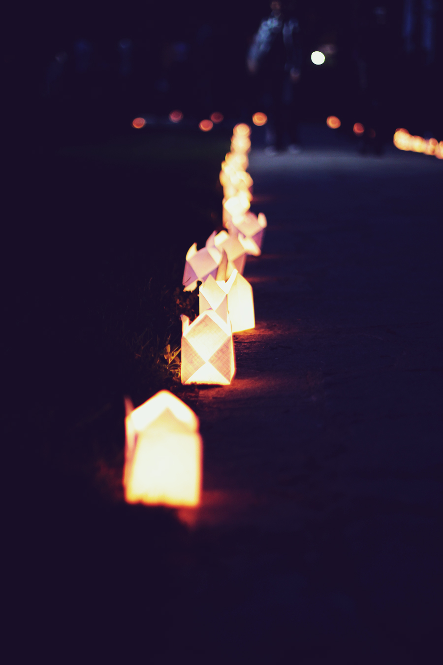candle_lights_in_the_park_3