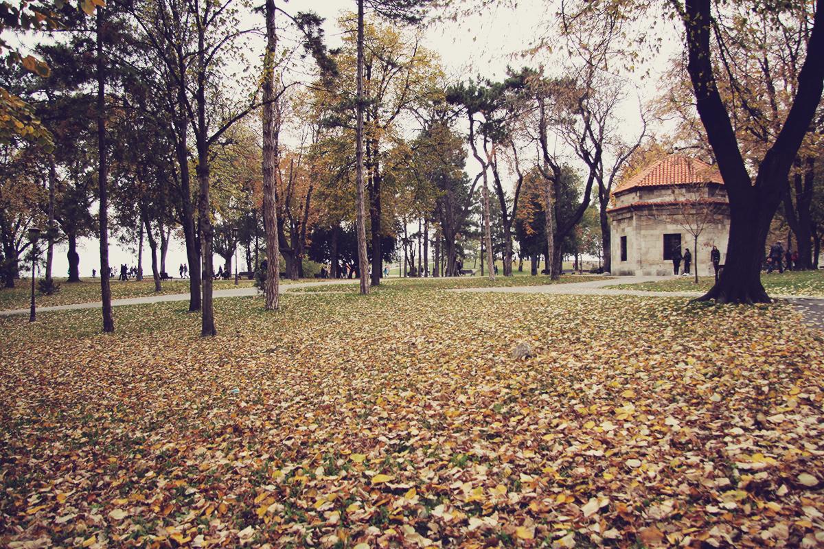 autumn-in-kalemegdan-park-belgrade