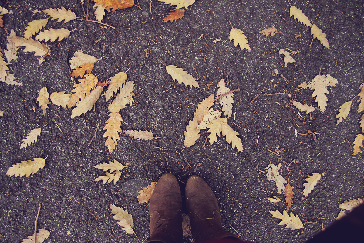 fall-at-my-feet