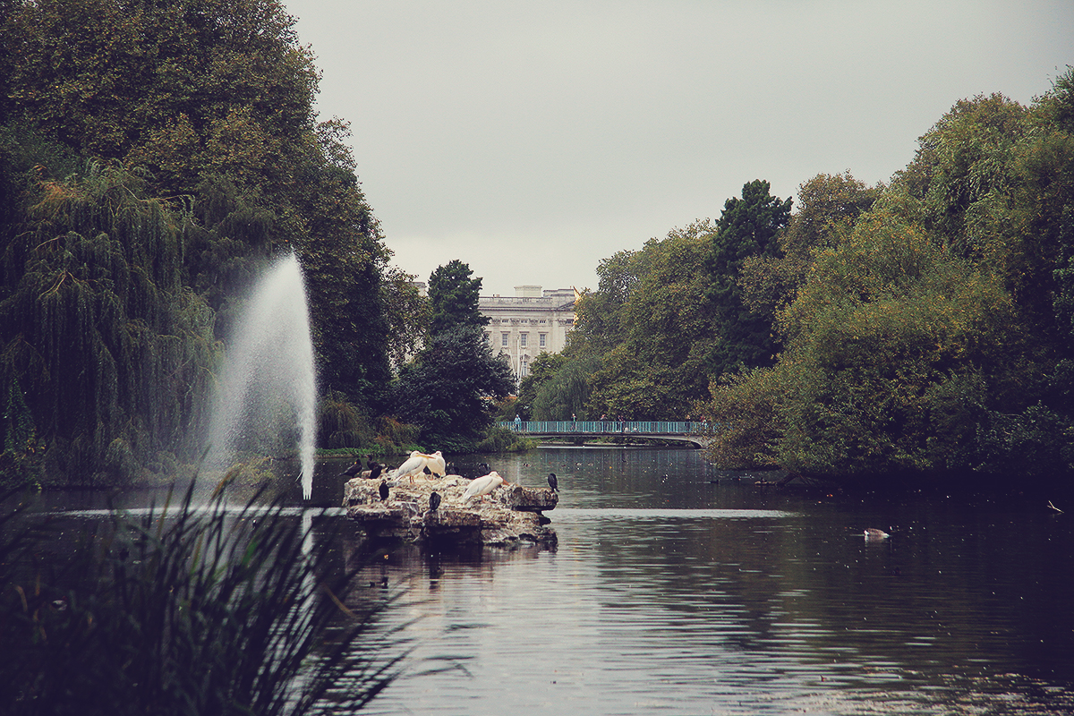 london-buckingham-palace-view-from-st-jamess-park