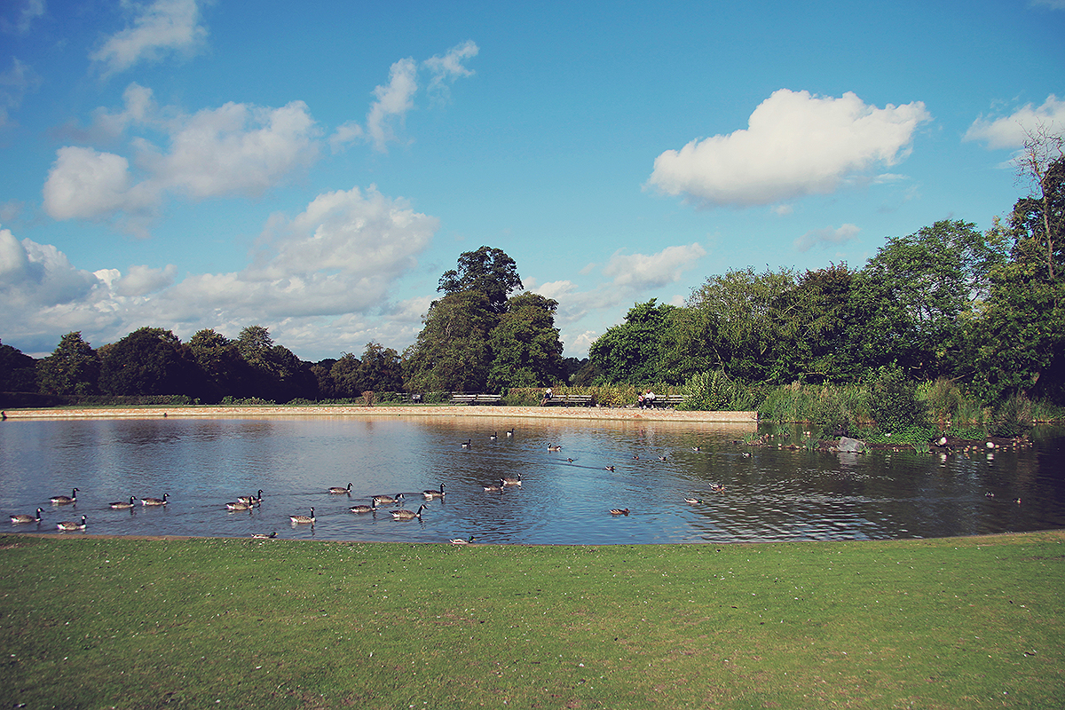 london-the-lake-at-forty-hall