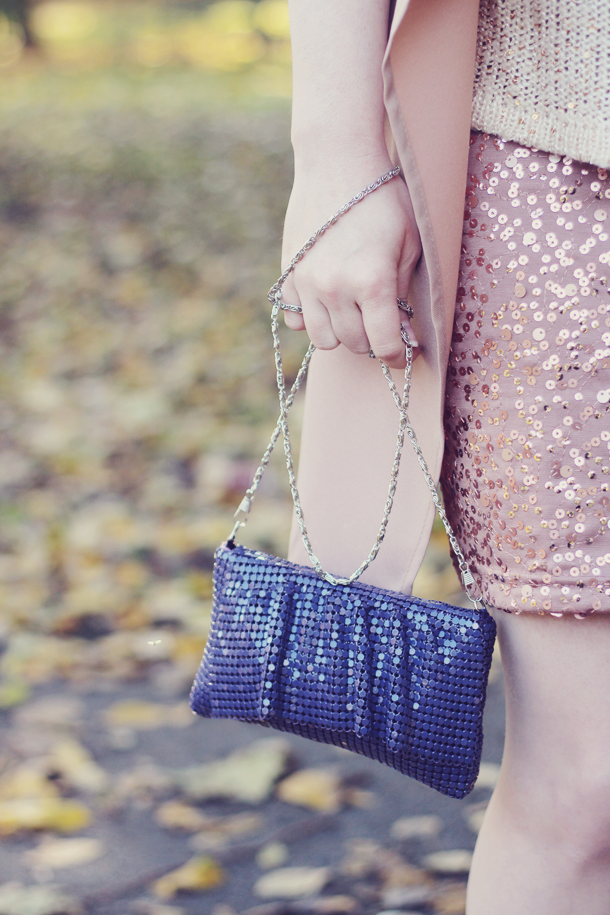 sparkly-silver-chain-purse