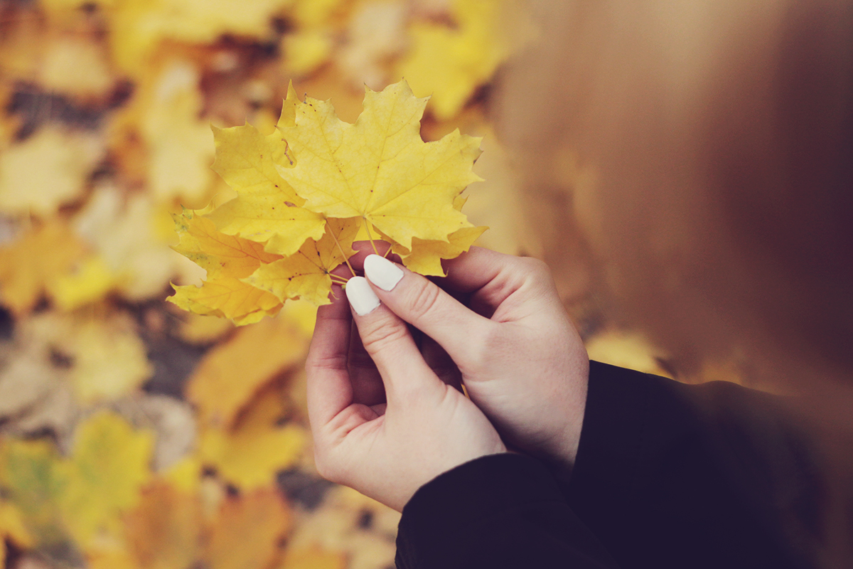 autumn leafs, white nails, autumn