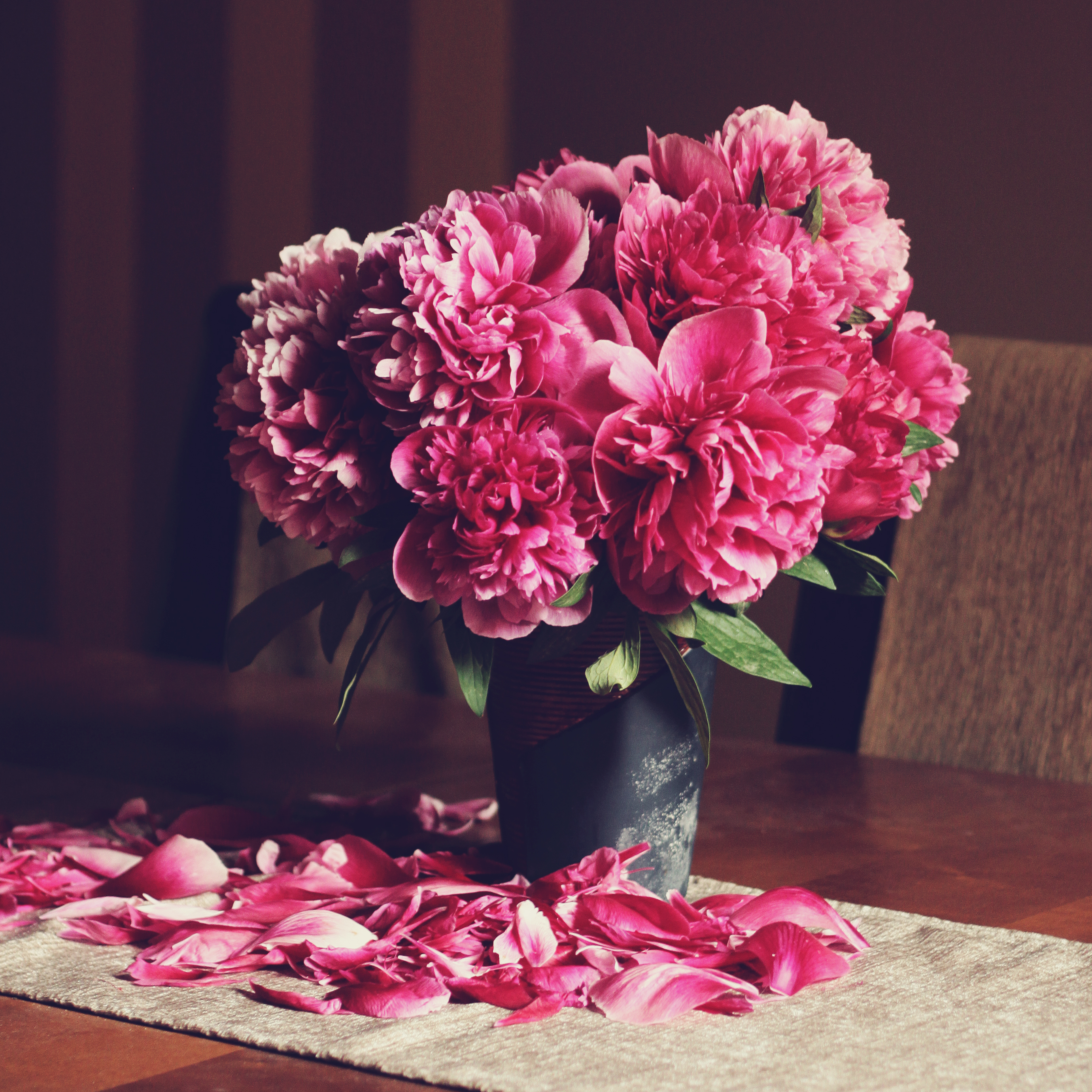 pink peonies, bouquet of peonies, spring