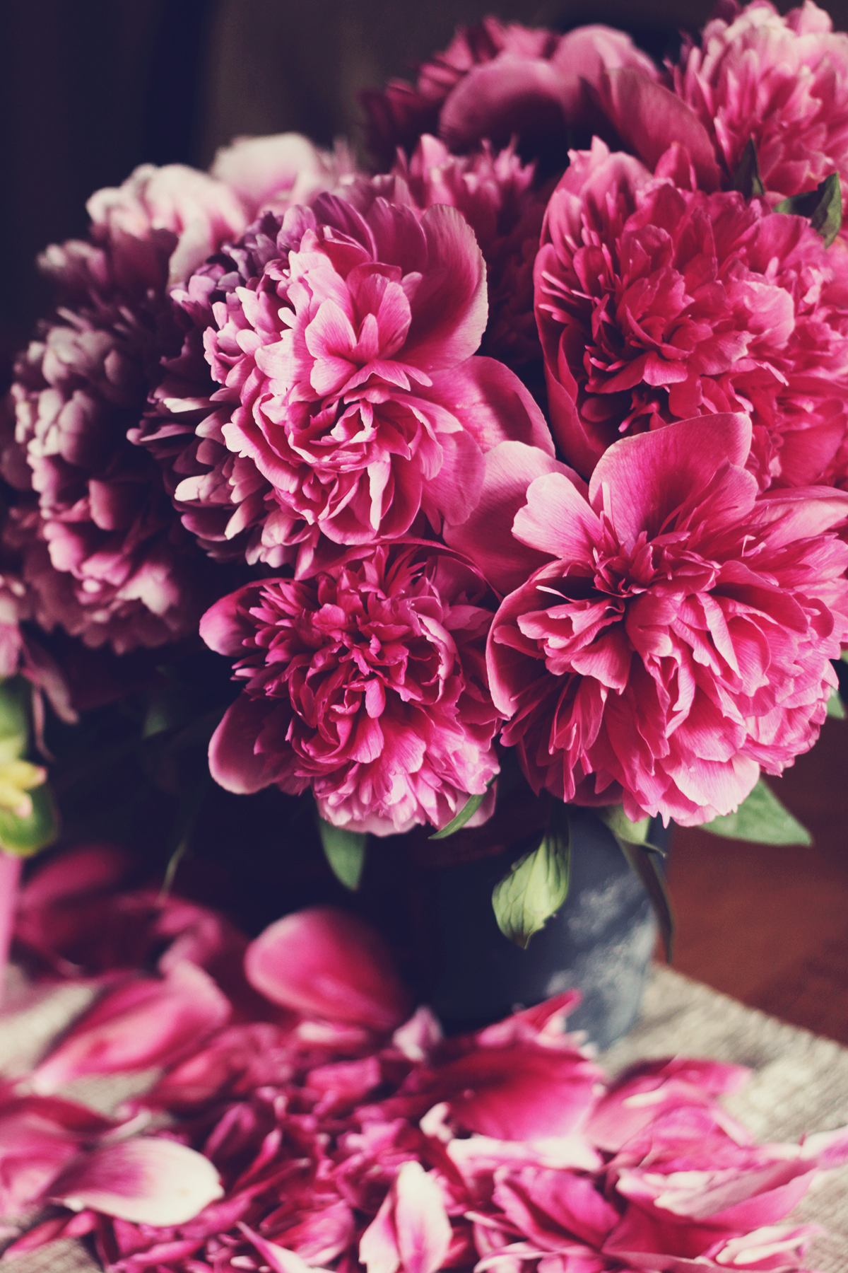 pink peonies, bouquet of peonies, spring
