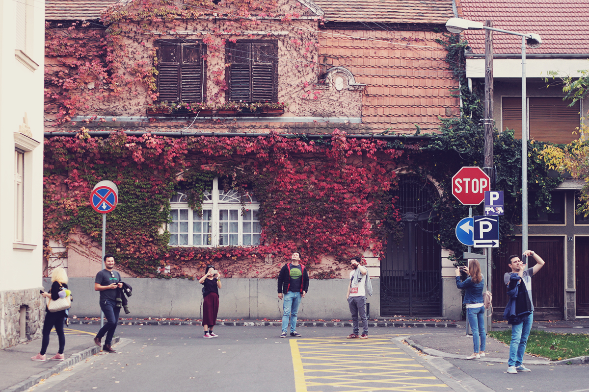 Oradea, sightseeing, travel, travel blog