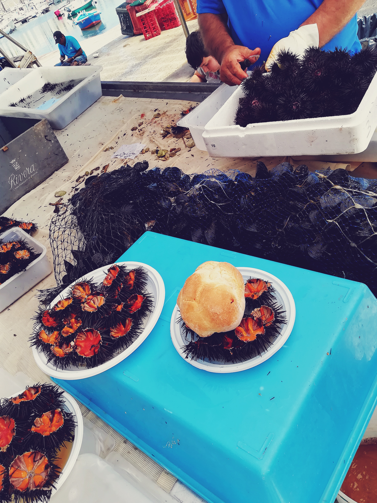 Bari, raw sea urchins