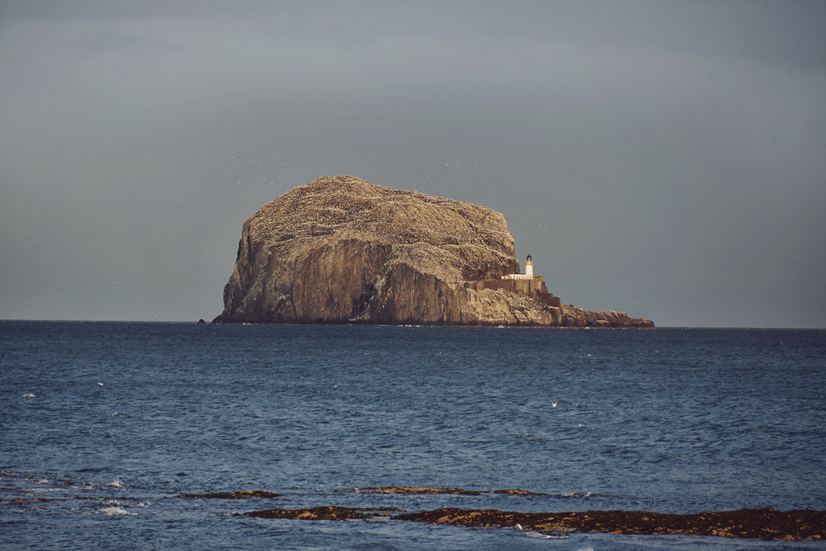 Bass Rock, Scotland travel post, travel, North Berwick