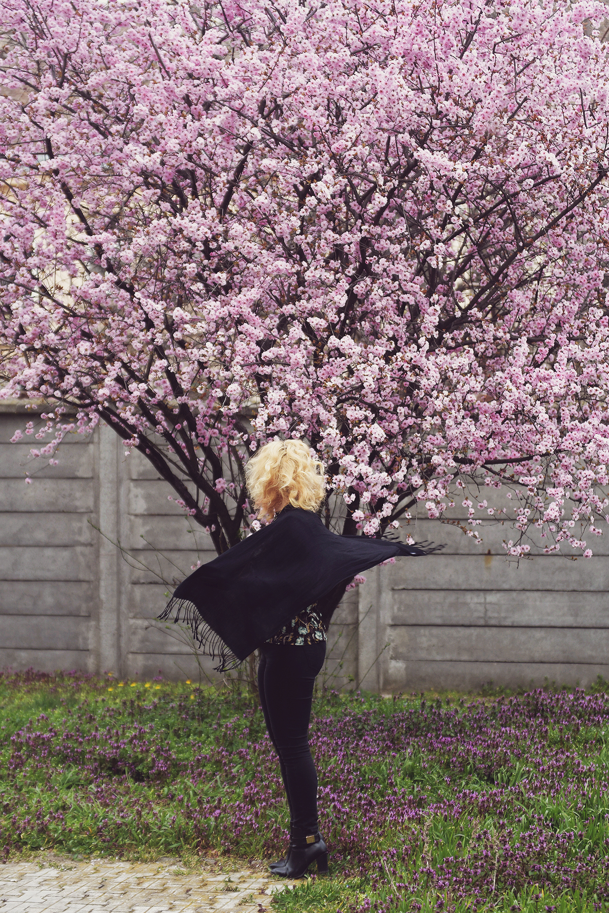 spring look, pink cherry blossoms, pink cherry blossom tree, spring, curly blonde hair, floral top, black scarf, jeans, Zaful boots