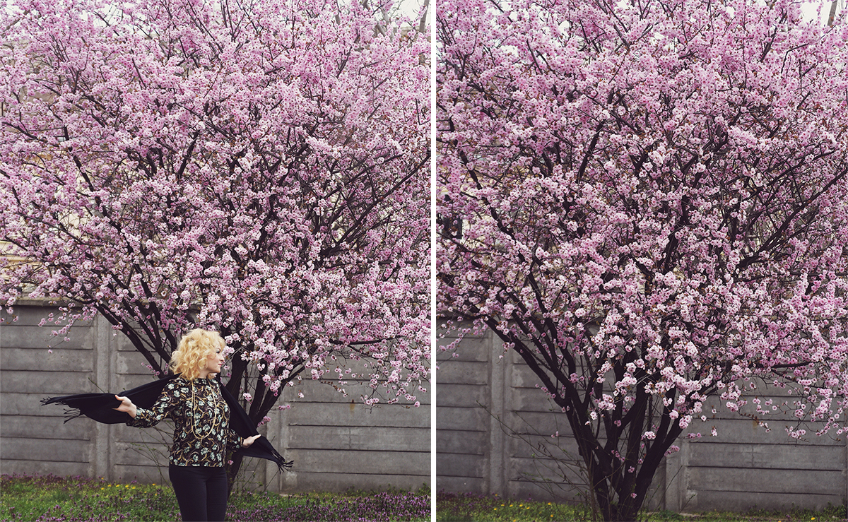 spring look, pink cherry blossoms, pink cherry blossom tree, spring, curly blonde hair, floral top, Christian Dior necklace, black scarf, jeans