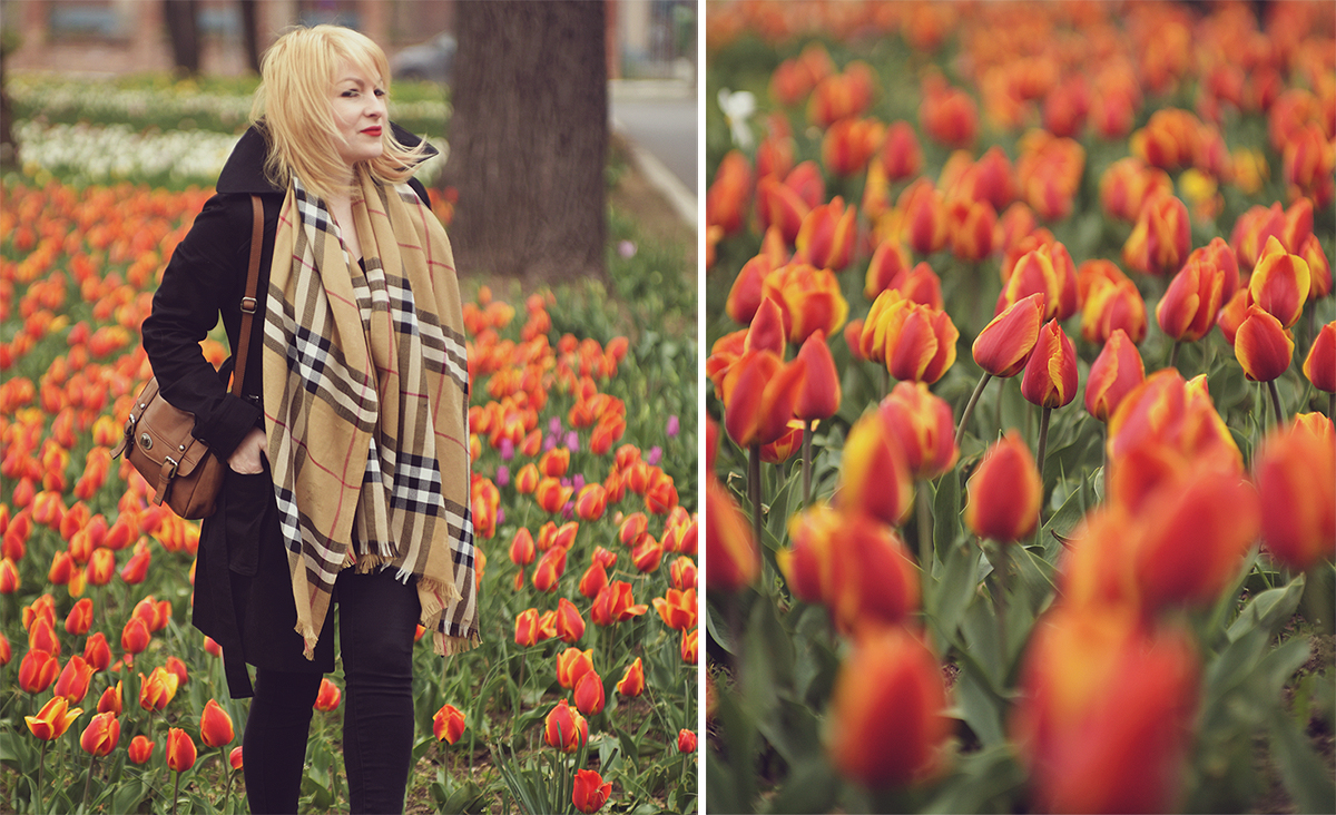 spring look, spring, Burberry cashmere scarf, Picard messenger bag, black trench coat, jeans, red tulips