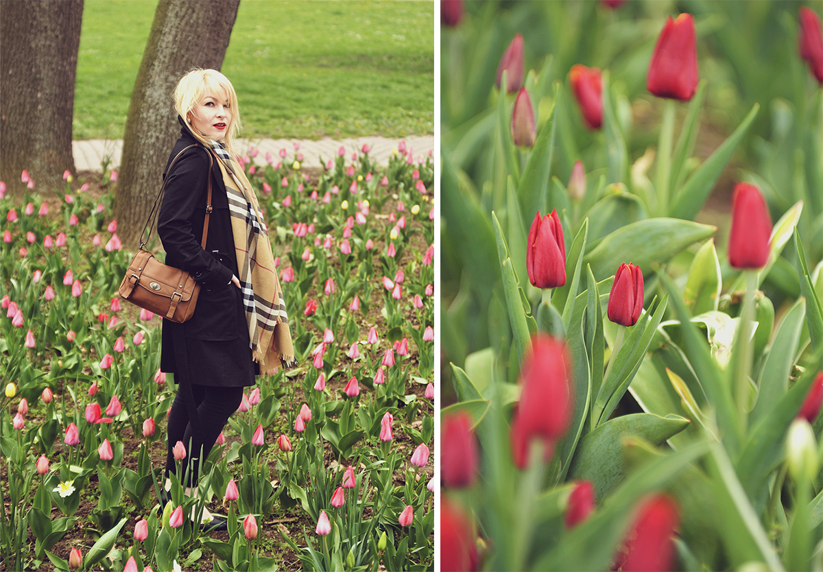 spring look, spring, Burberry cashmere scarf, Picard messenger bag, black trench coat, Ralph Lauren heels, jeans, red tulips