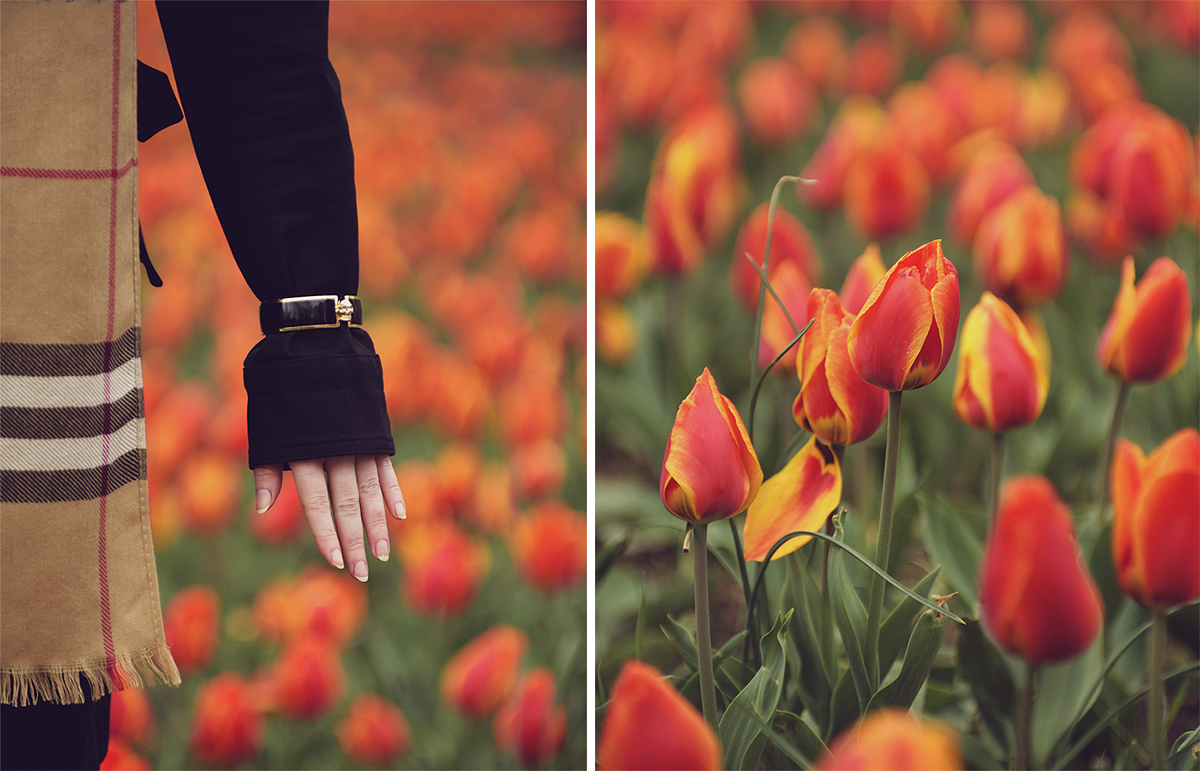 spring look, spring, Burberry cashmere scarf, Alexander McQueen skull bracelet, black trench coat, red tulips
