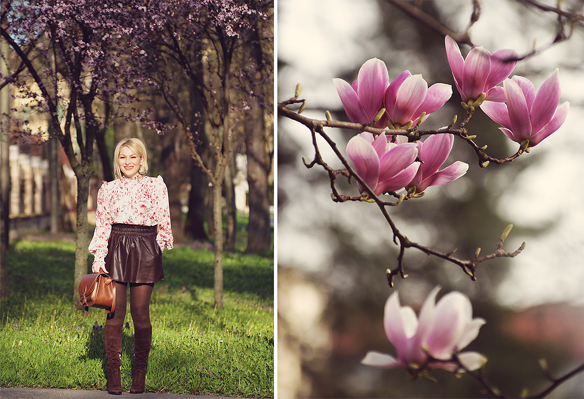 spring look, pink magnolia tree