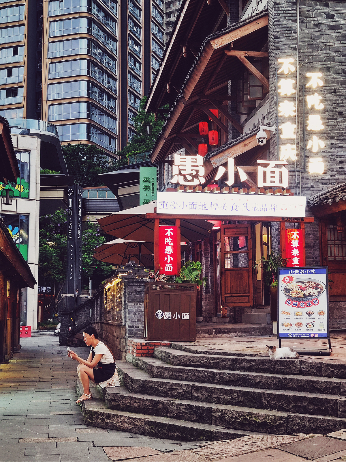 Chongqing - A woman and a cat